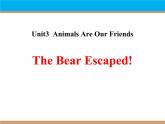 《The Bear Escaped!》Animals Are Our Friends PPT课件