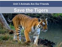 初中英语冀教版八年级下册Lesson 17 Save the Tigers说课ppt课件