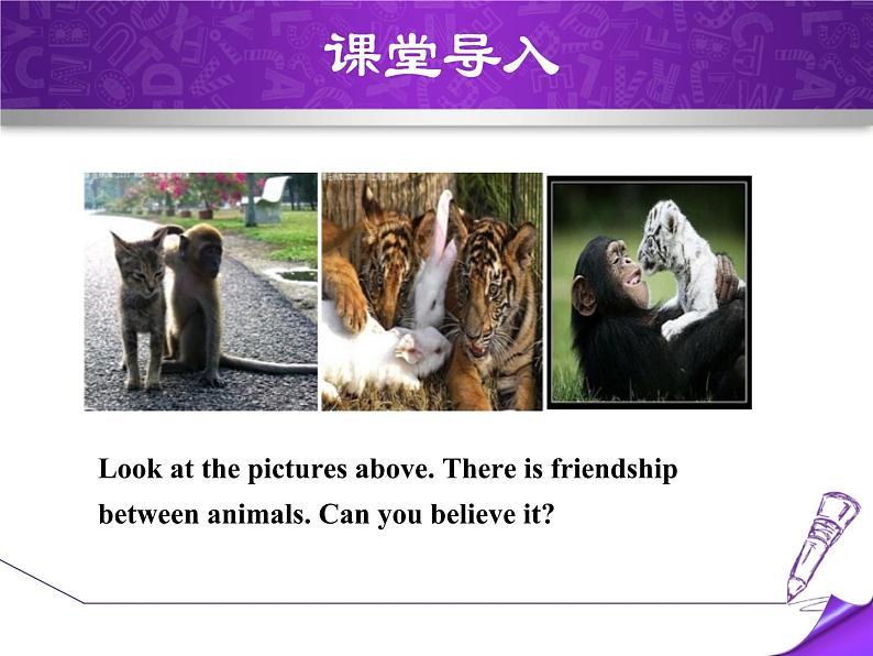 《Friendship Between Animals》Animals Are Our Friends PPT下载课件PPT03