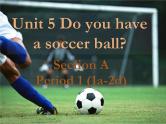 人教新目标七年级英语上册--Unit 5 Do you have a soccer ball Section A(1a-2d)课件+ 音频