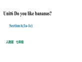 人教新目标七年级英语上册--Unit6 Do you like bananas SectionA(1a -1c)课件+ 音频