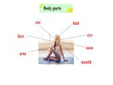 2021-2022学年冀教版英语七年级上册Lesson 13 Body Parts 课件