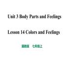 2021-2022學(xué)年冀教版英語七年級上冊Lesson 14 Colours and Feeling課件