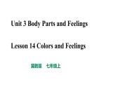 2021-2022学年冀教版英语七年级上册Lesson 14 Colours and Feeling课件