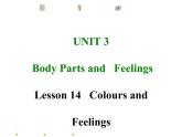冀教版英语七年级上册Unit 3 Lesson 14课件PPT