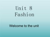 牛津译林版英语七年级上册-Unit 8 Fashion_(2)（课件）
