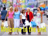 牛津译林版英语七年级上册-Unit 7 Shopping_shopping（课件）