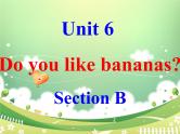 人教版七年级英语上册Review Unit 6 Section B复习课件
