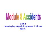 外研版（新标准）初中英语八年级上Moudle 8-Unit 2课件(30张）