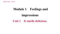 英语外研版 (新标准)Module 1 How to learn English综合与测试习题ppt课件