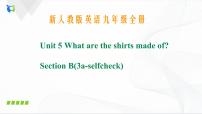 初中英语人教新目标 (Go for it) 版九年级全册Section B完整版课件ppt