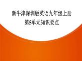 牛津深圳版九年级上册英语Unit5 Action知识要点课件