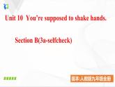 Unit 10 SectionB(3a-selfcheck)课件PPT+音视频素材