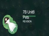 牛津译林版七下英语7B Unit 8 Revision复习课件+试卷