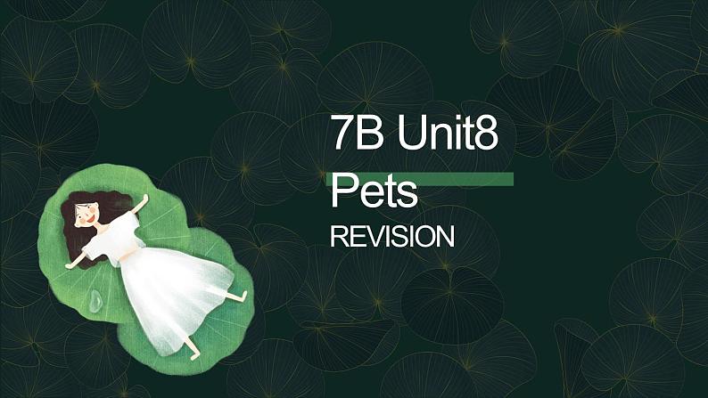 牛津译林版七下英语7B Unit 8 Revision复习课件+试卷01