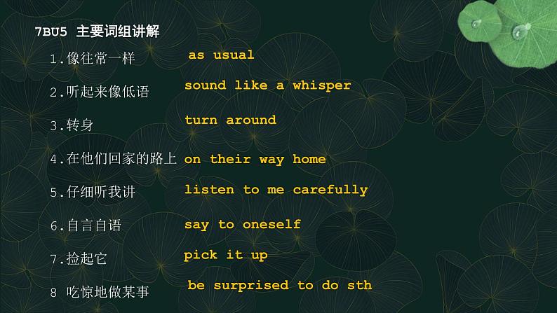 牛津译林版七下英语7B Unit 5 Revision复习课件+试卷07