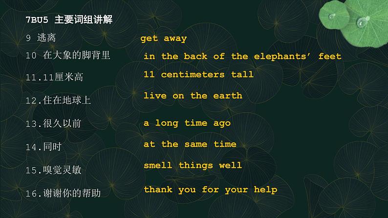 牛津译林版七下英语7B Unit 5 Revision复习课件+试卷08