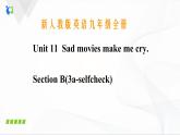 Unit11 SectionB(4a-selfcheck)课件PPT+音视频素材