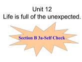 Unit 12 Section B（3a-self-check)课件
