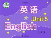 牛津译林版八下英语 8B Unit 5 课件+教案+课文音频