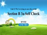 人教英语九下Unit13第6课时（SectionB3a-Self Check）课件PPT