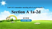 初中英语人教新目标 (Go for it) 版九年级全册Section A说课课件ppt