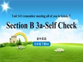人教英语九下Unit14第6课时（SectionB3a-Self Check）课件PPT