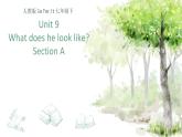 七下 Unit 9 Unit 9 What does he look like Section A 说课课件18张PPT