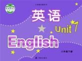 牛津译林版八下英语 8B Unit 7 课件+教案+课文音频