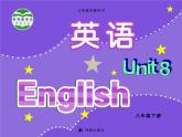 牛津译林版八下英语 8B Unit 8 课件+教案+课文音频