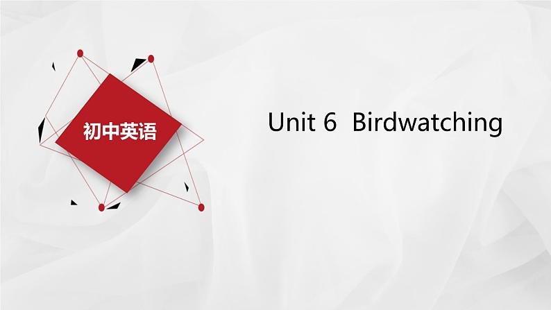 牛津译林版八上英语 8A Unit 6 Revision 复习课件+试卷01