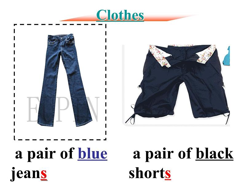 牛津译林版七年级上册7A U8  课件+教案03