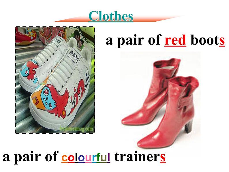 牛津译林版七年级上册7A U8  课件+教案04