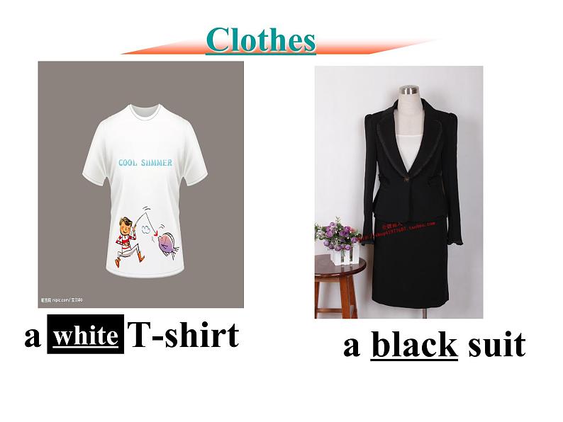 牛津译林版七年级上册7A U8  课件+教案07