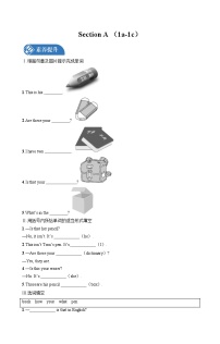 初中英语人教新目标 (Go for it) 版七年级上册Section A练习