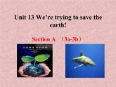 Unit  13   Section A 3a-3b课件PPT