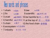 Unit  13   Section A 3a-3b课件PPT