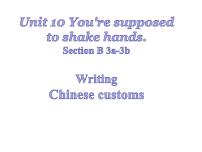 人教新目标 (Go for it) 版九年级全册Unit 10 You’re supposed to shake hands.Section B课堂教学课件ppt