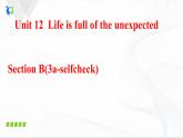 Unit12 SectionB(3a-selfcheck)课件PPT+音视频素材