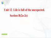 Unit12 SectionB(2a-2e)课件PPT+音视频素材