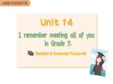 人教版英语九年级下册 Unit 14 Section A Grammar Focus-4b PPT课件