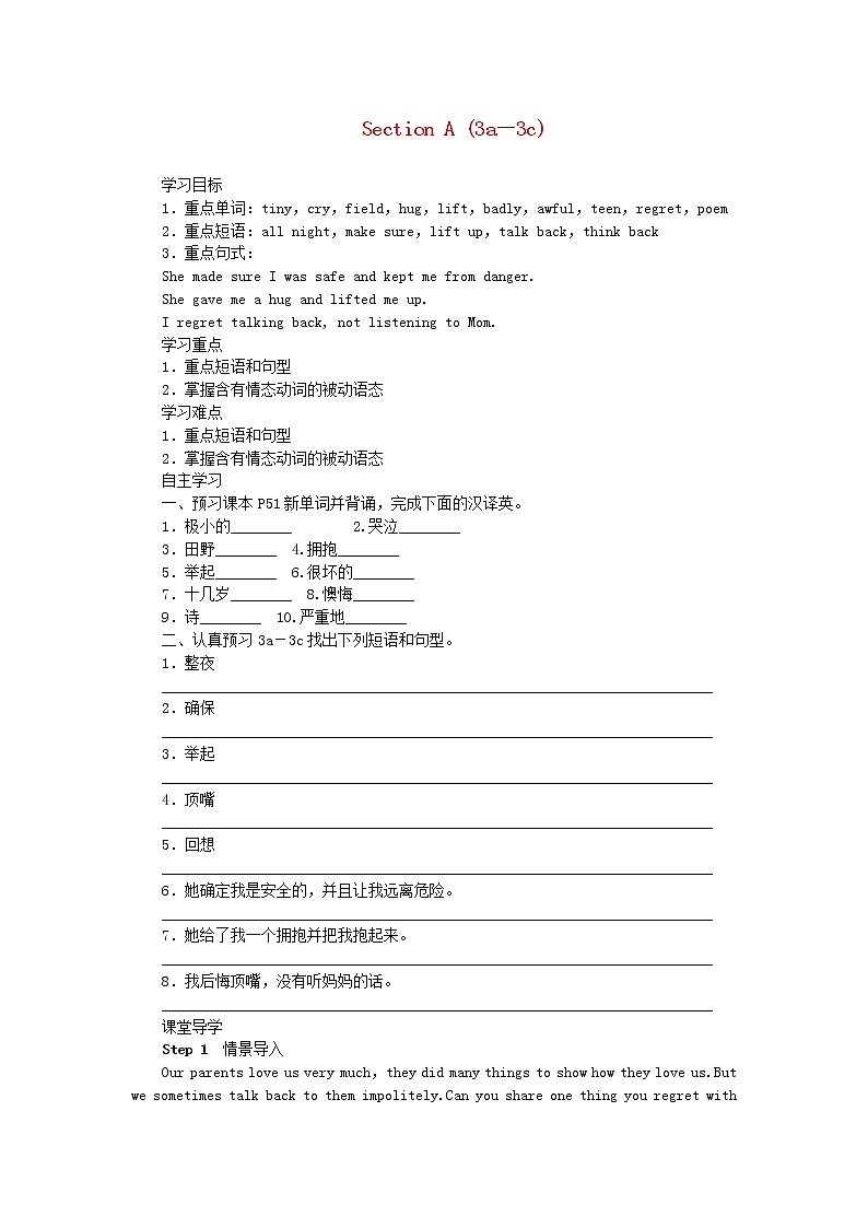 2021-2022学年初中英语九年级全册人教新目标版 Unit7 SectionA3a-3c教案01