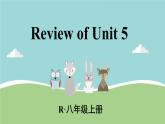 2021年初中英语八年级上册Review of Unit 5课时精品课件 （人教新目标）
