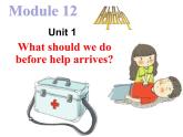 外研版（新标准）初中英语八年级上Moudle 12-Unit 1课件(共55张PPT)