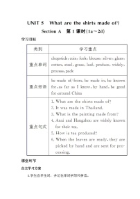 人教新目标 (Go for it) 版九年级全册Section A第一课时教案