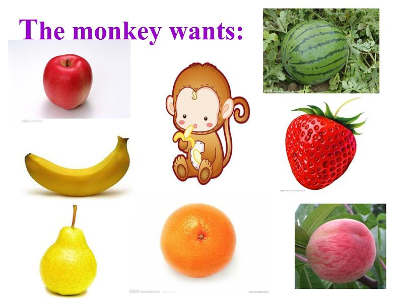 人教版英语八年级上册课件Unit8 SectionA02