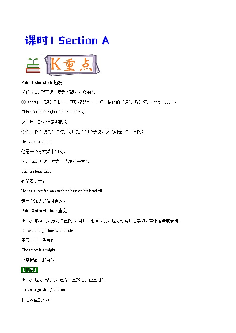 专题9.1 What does he  look like  Section A03