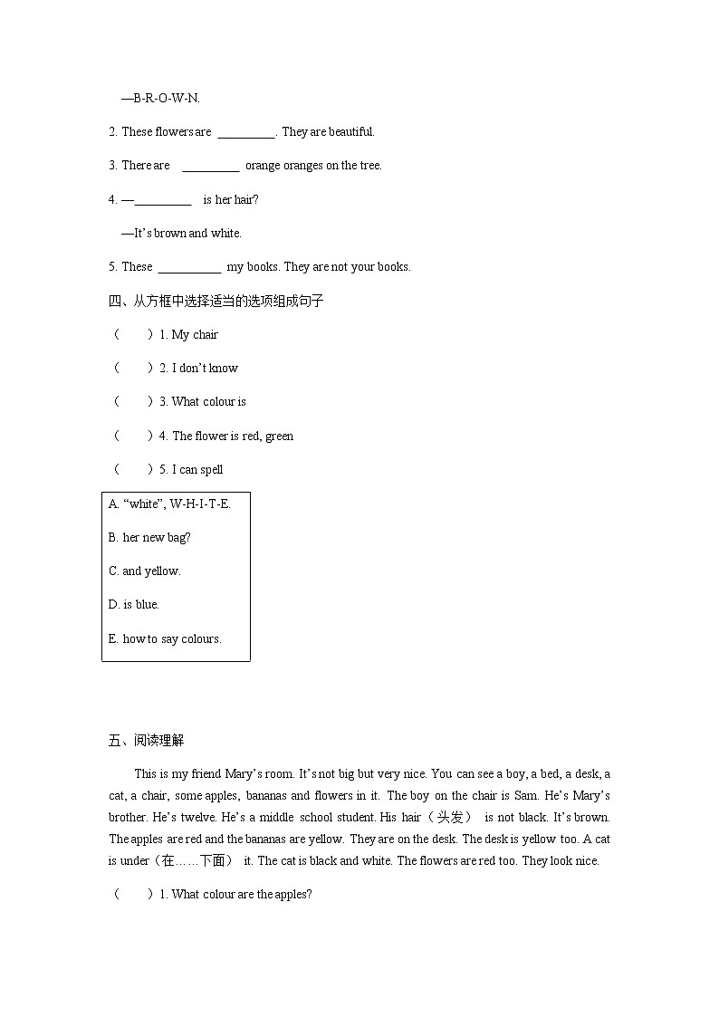 Starter Module 3  My English book Unit 3  What colour is it练习 初中英语外研版七年级上册（2021年）第2页