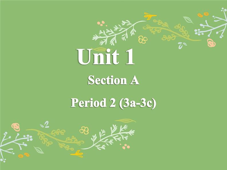 Unit1 Section A 3a-3c课件 2021-2022学年人教版英语八年级上册01