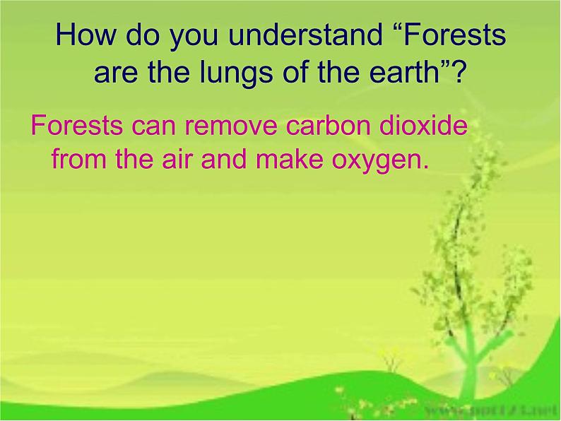 Unit2 Topic3 Section D课件2021-2022学年仁爱版九年级英语上册05